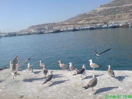 port agadir
